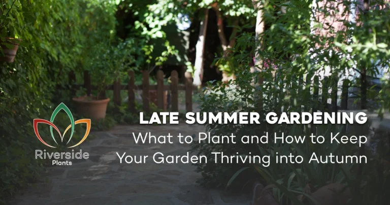 what to plant