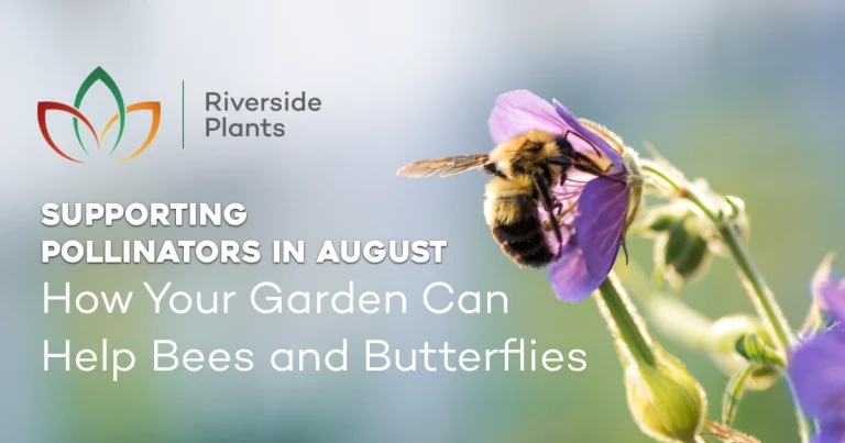supporting pollinators